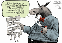 DEMOCRAT CONSTITUTION EDITS by Rivers