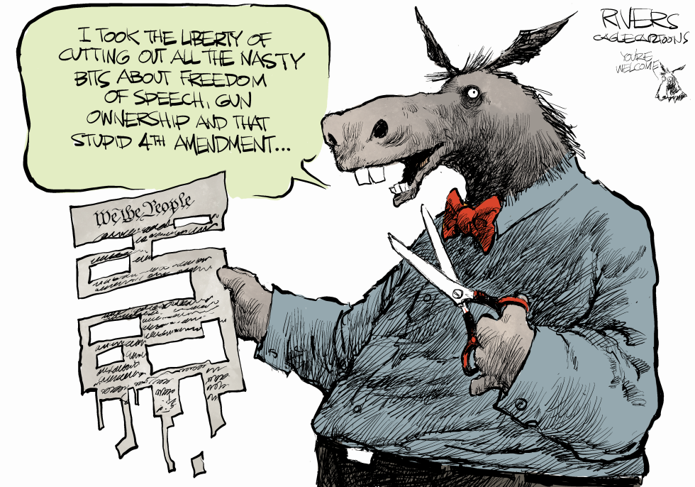 Democrat Constitution Edits