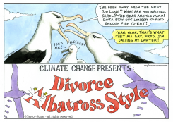 ALBATROSS SPLITSVILLE by Taylor Jones