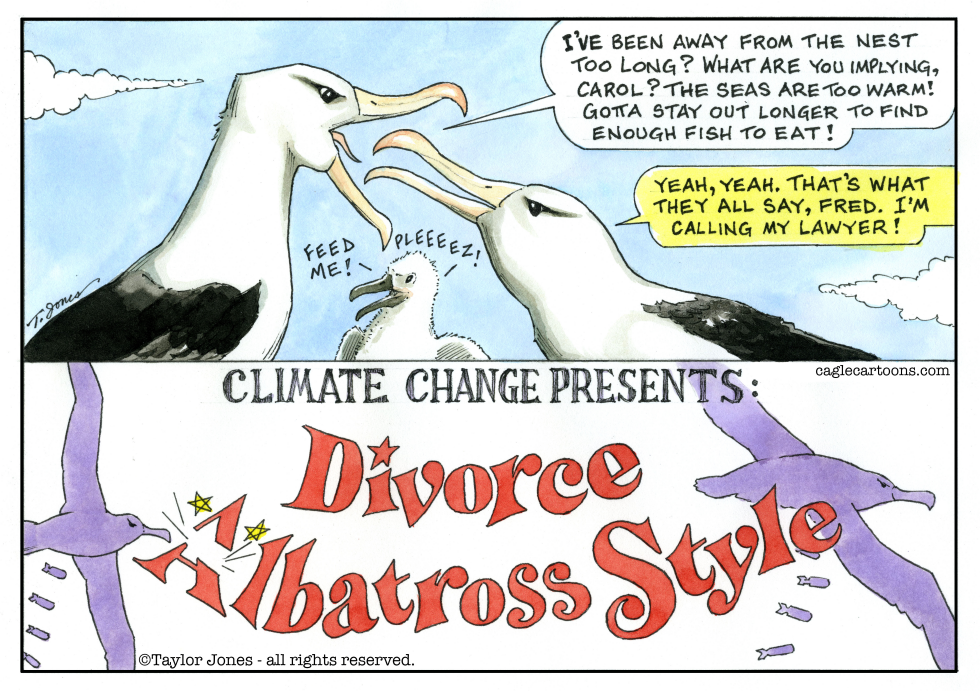 albatross splitsville