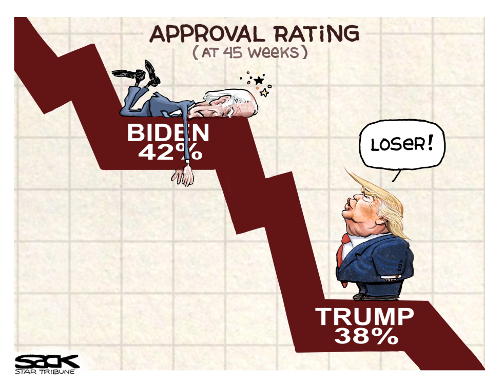 Poll Cats