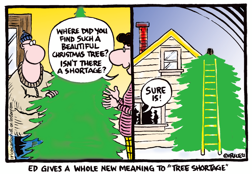 New Meaning To A Tree Shortage