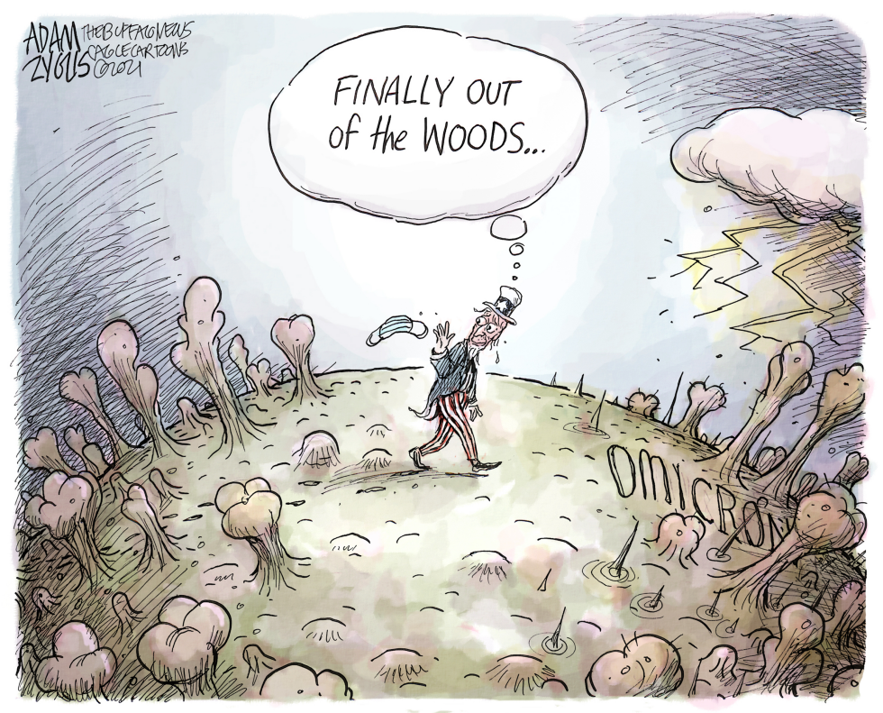Break in the Forest