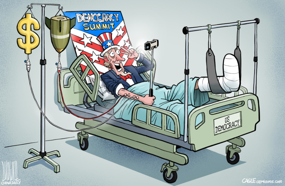 Democracy patient