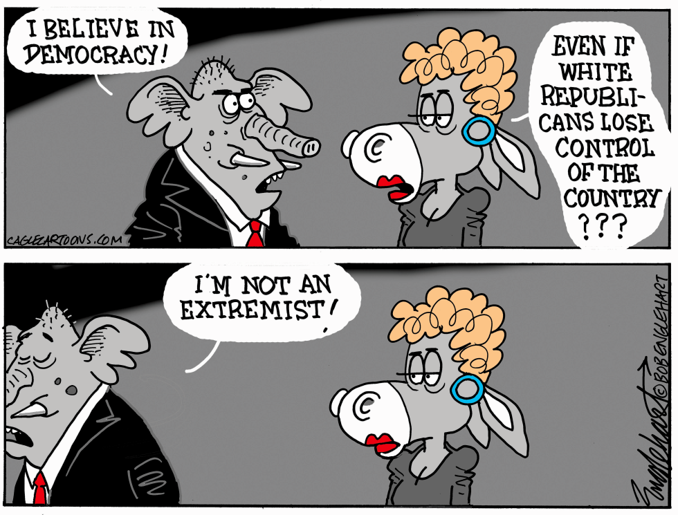 Limits Of Democracy