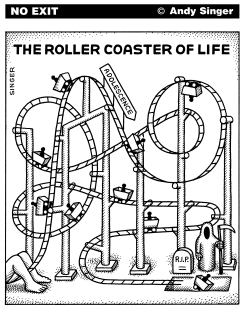 ROLLER COASTER OF LIFE by Andy Singer