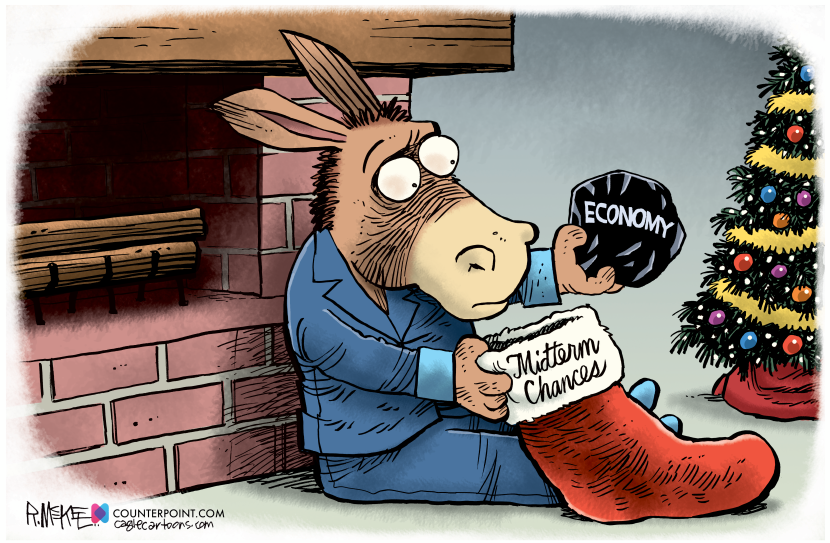 Democrats Midterm Coal