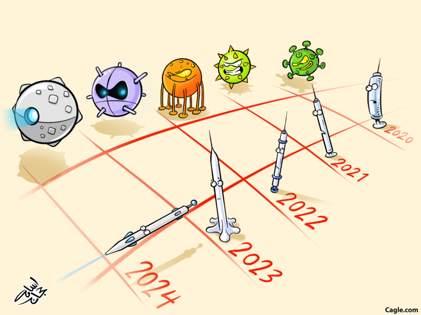 Covid19 & Vaccine Evolution