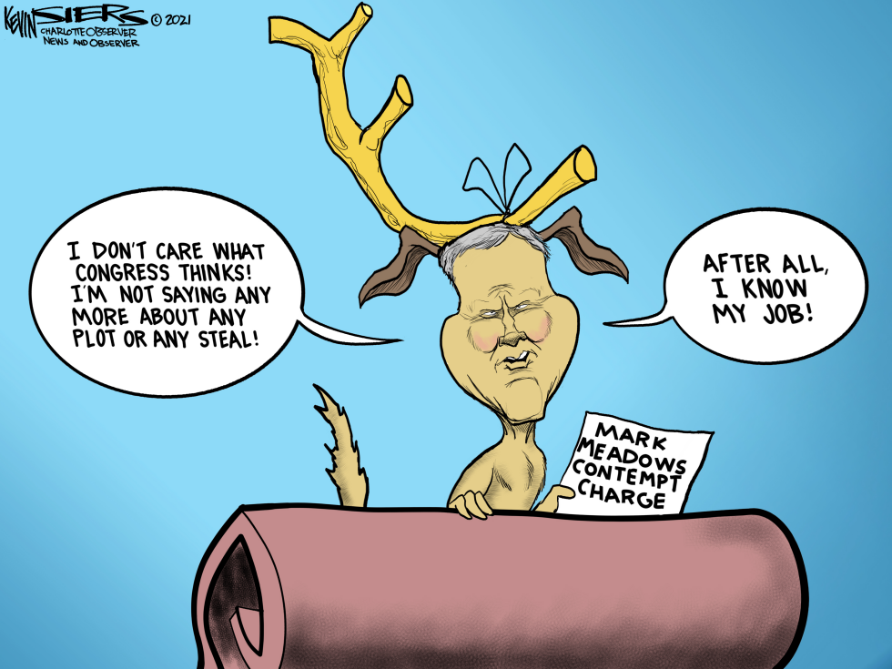 Faithful dog Mark Meadows