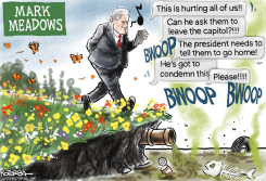 MARK MEADOWS by Jeff Koterba