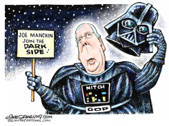 MITCH WOOS JOE MANCHIN by Dave Granlund