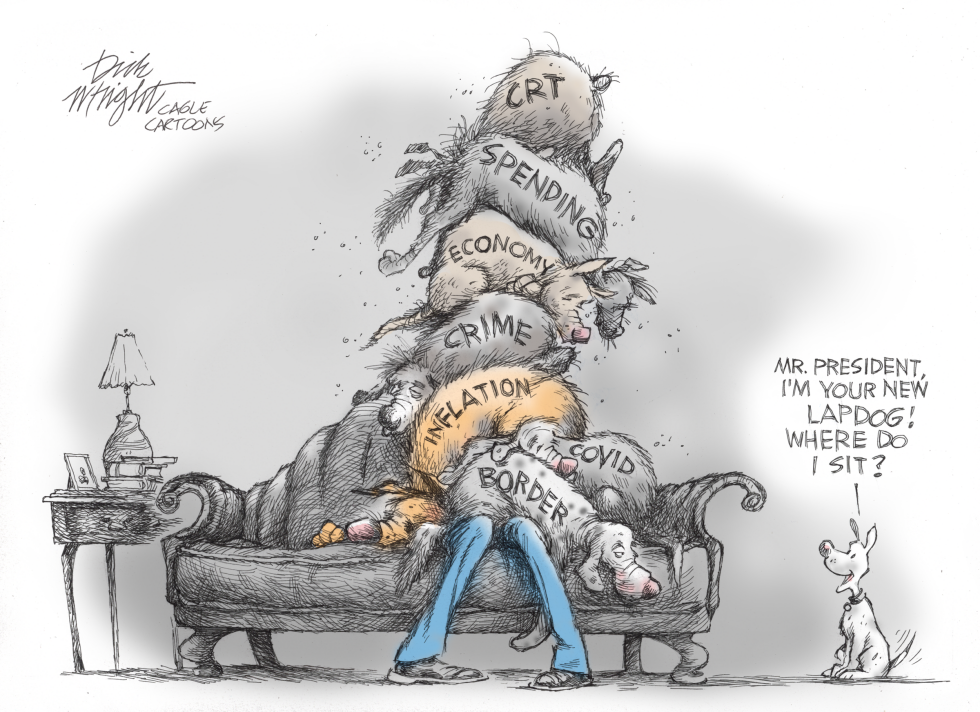 Biden Gets New Lapdog