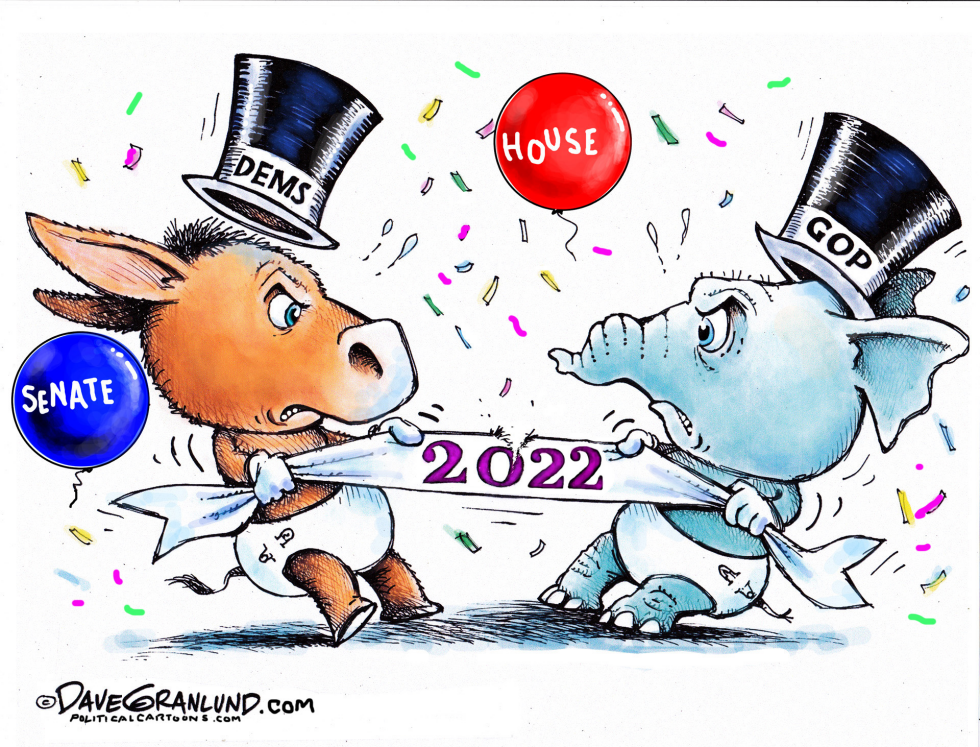 New Year 2022 midterms