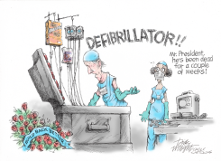 BIDEN TRIES TO RAISE BUILD BACK BETTER FROM DEAD by Dick Wright
