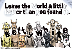 BETTY WHITE by Joe Heller