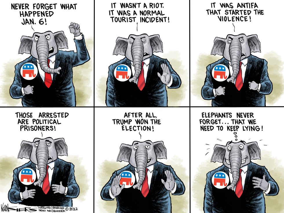 An Elephant remembers Jan. 6