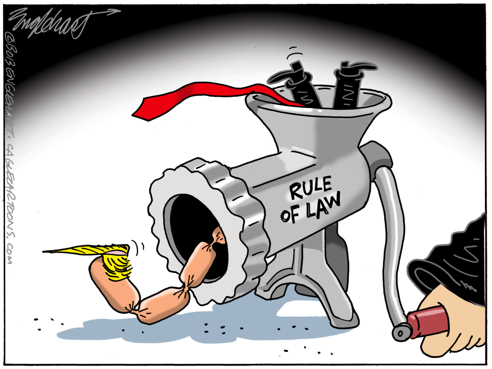 Trump VS The Law