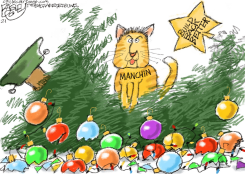 MANCHIN CAT by Pat Bagley