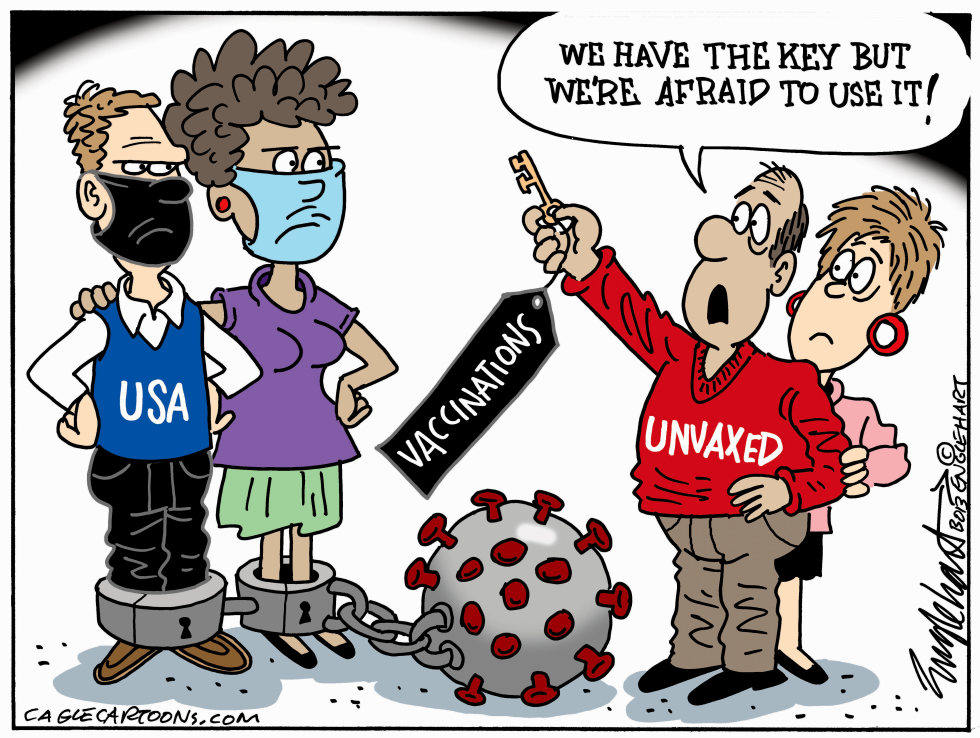 The Key To A Healthy USA