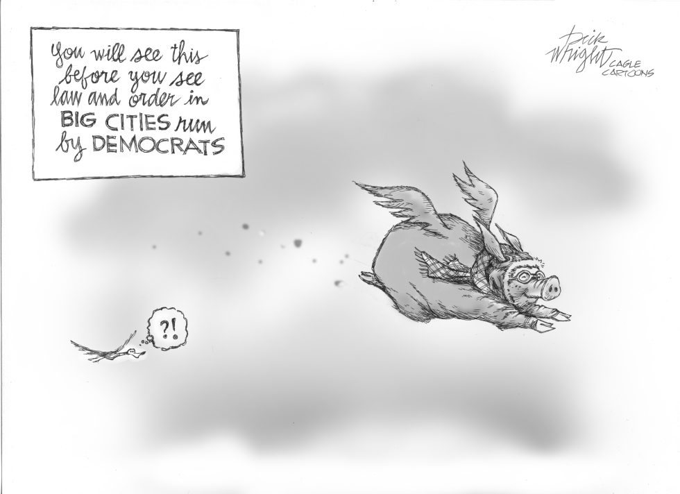 Pigs Flying Over Democrat Cities?