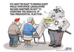 RED STATE VOTING RIGHTS by R.J. Matson