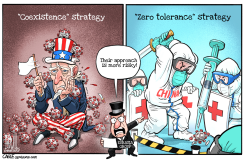 WHICH STRATEGY IS MORE RISKY by Luojie