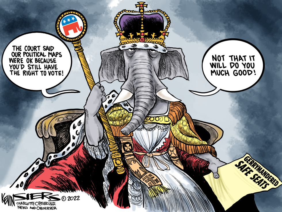 Gerrymandered Democracy