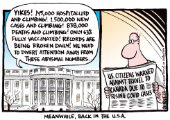 MEANWHILE BACK IN THE USA by Ingrid Rice