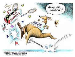 DJOKOVIC LOSES VS AUSTRALIA by Dave Granlund
