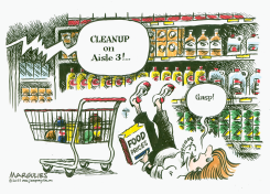 FOOD PRICE INFLATION by Jimmy Margulies