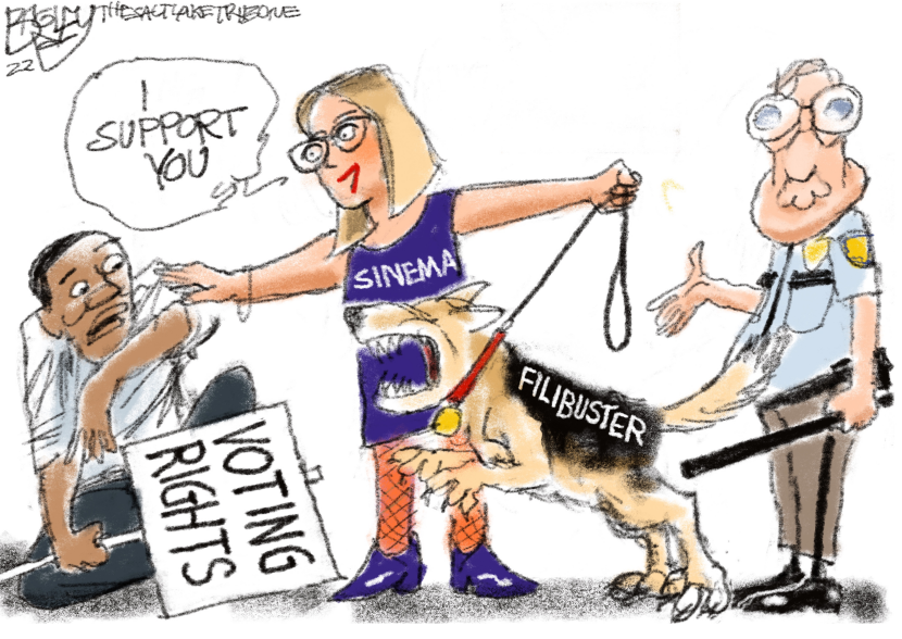 Sinema Says