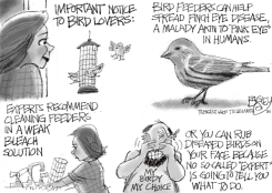 BIRD BRAINS by Pat Bagley