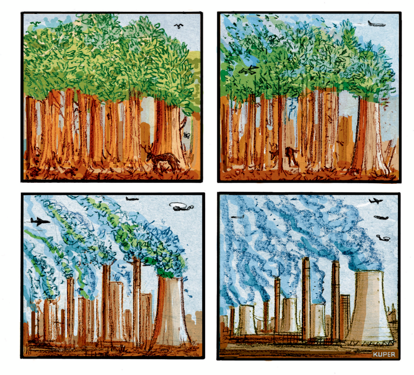 Promise of BioFuel?