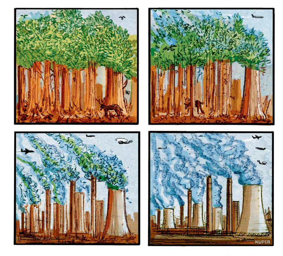 Promise of BioFuel?