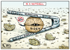 BIDEN'S NUTSHELL by Christopher Weyant