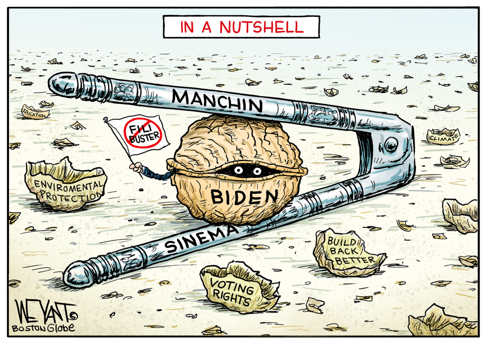 Biden's Nutshell