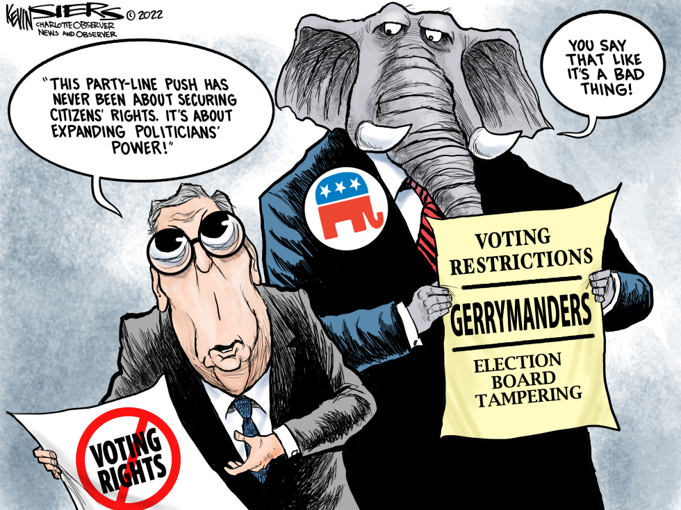 Voting Rights and Wrongs