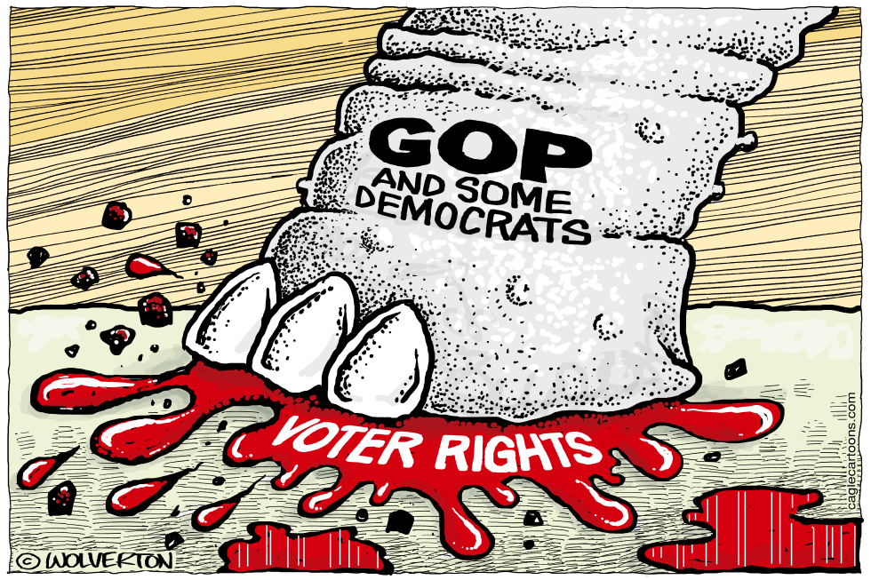 Voter Rights Crushed
