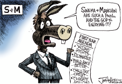 SINEMA AND  MANCHIN by Joe Heller