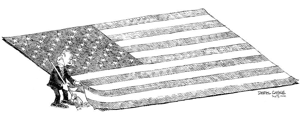Bush Broom and Flag