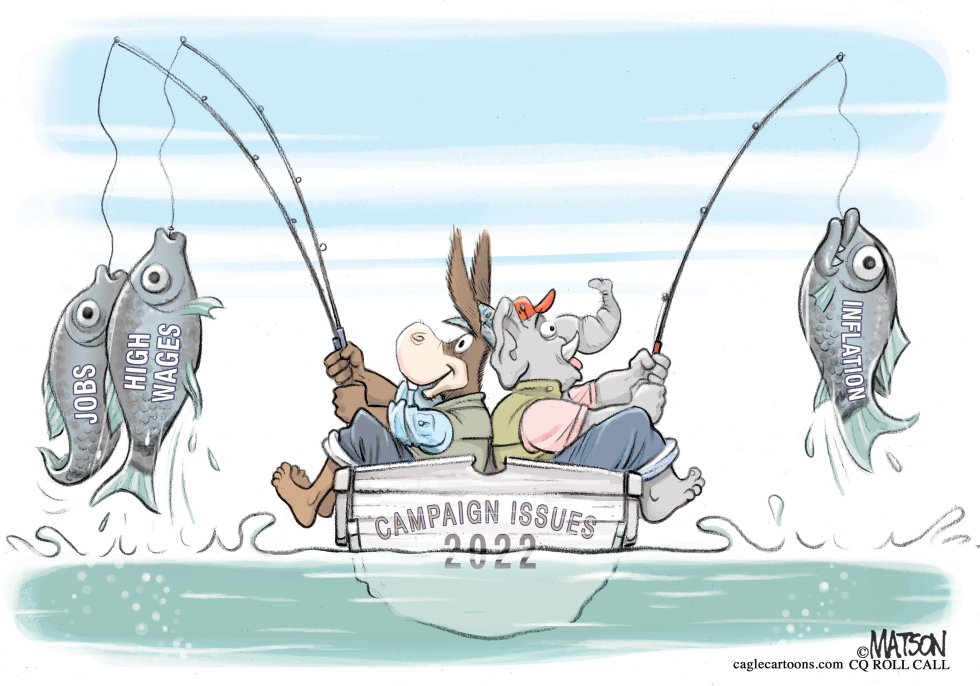 Fishing for 2022 Congressional Campaign Issues