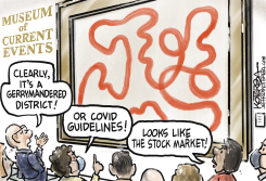 GERRYMANDERING, COVID, STOCK MARKET by Jeff Koterba