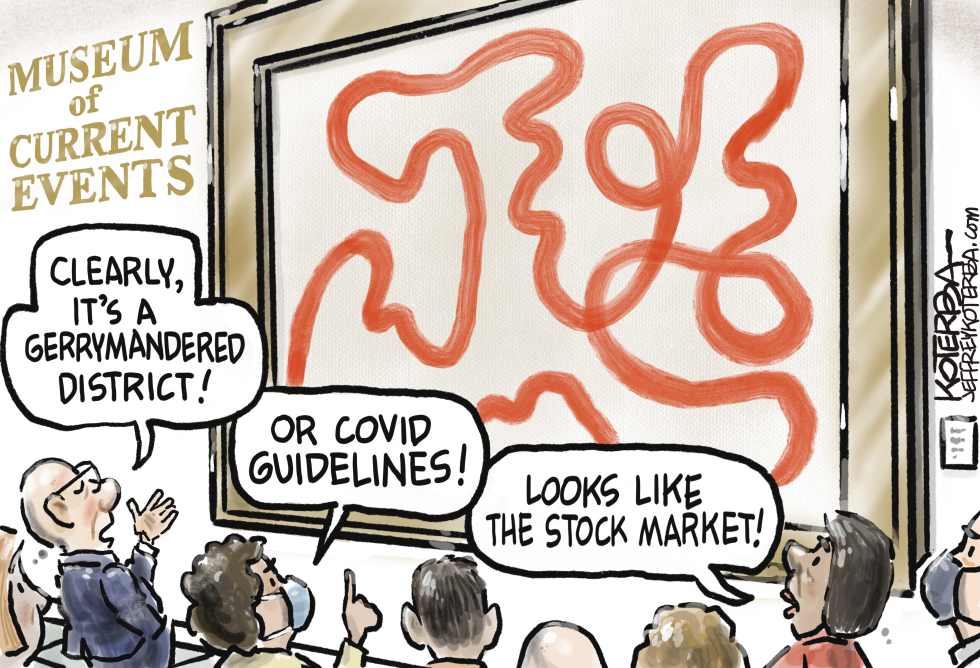 Gerrymandering, Covid, Stock Market