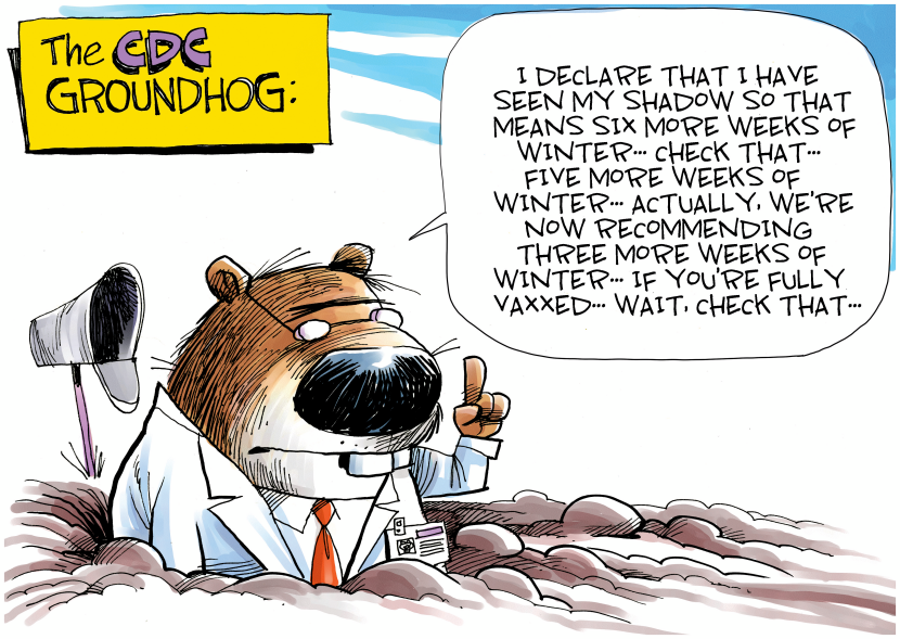 CDC Groundhog