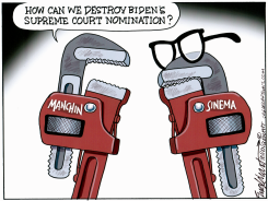 STEPHEN BREYER RETIRES by Bob Englehart