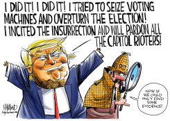 TRUMP CONFESSIONS by Dave Whamond