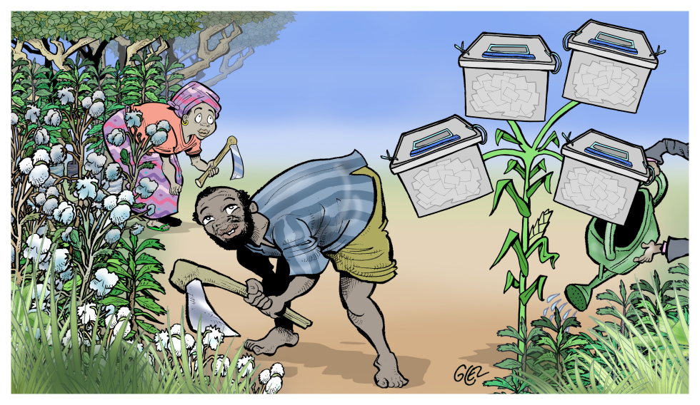 Rural Ballot Boxes