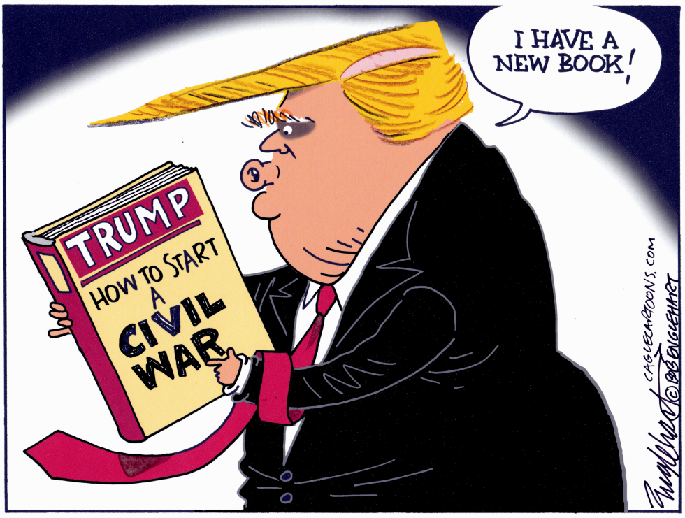 New Trump Book