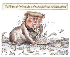 TORN DOCUMENTS by Adam Zyglis