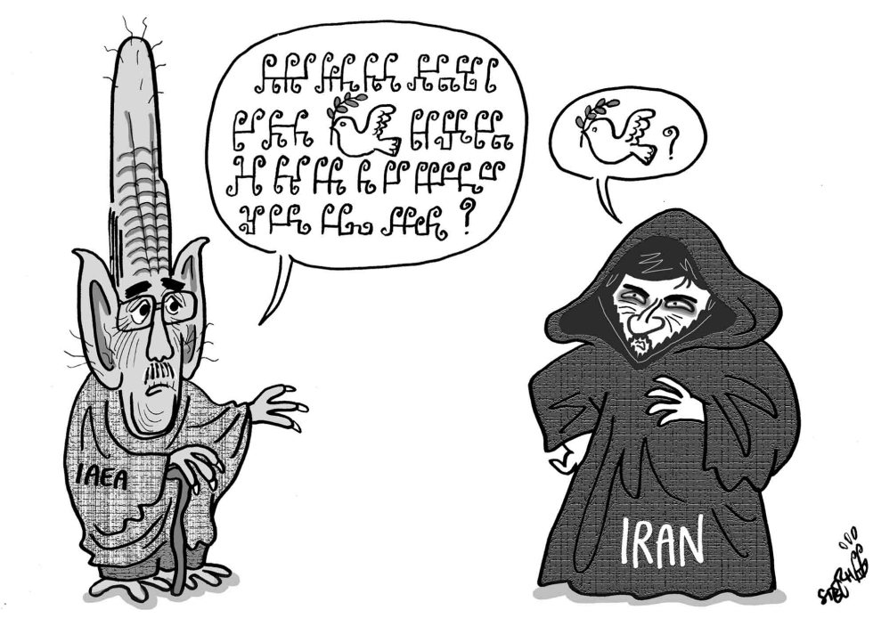ElBaradei in Iran